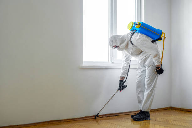 Best Residential Pest Control  in Bonners Ferry, ID